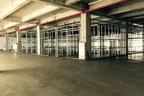 dr室鉛門規(guī)格型號莆田